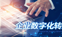 中企高呈：企業(yè)數(shù)字化不是目的，轉(zhuǎn)型才是！