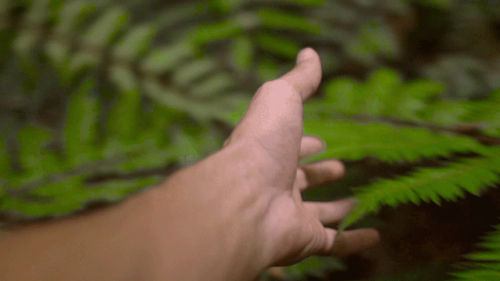 千年舟負離子凈醛生態板，天然的空氣凈化器