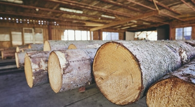 專注環(huán)保板材，澳思柏恩差異化品牌之路