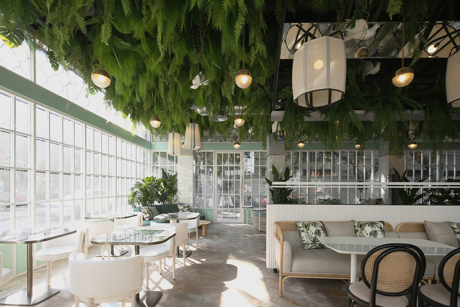 廣東人的驕傲，女王也愛的英德紅茶，100杯免費喝