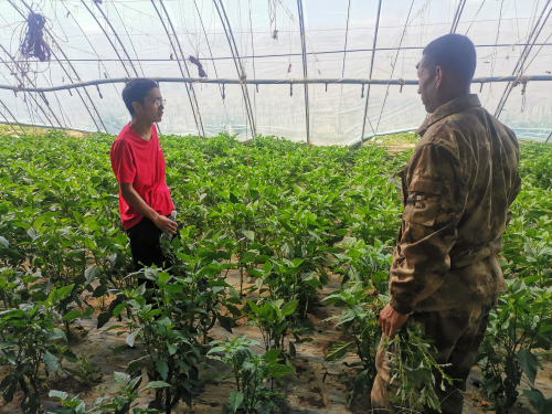 2162道題！陜西省援藏干部李吾強通關(guān)&rdquo;學習強國&rdquo;挑戰(zhàn)答題  