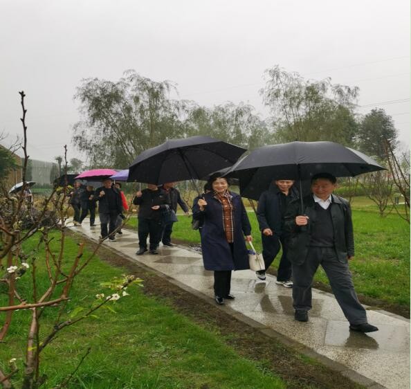 農博搭臺為引領 科技人才創實效&mdash;&mdash;王宗全一行赴新津區調研指導老科協工作