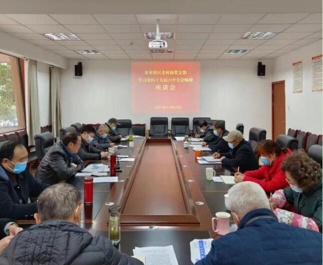 學習&ldquo;決議&rdquo;增強信念 持續奮斗勇毅前行&mdash;&mdash;龍泉驛區老科協黨支部召開學習黨的十九屆六中全會精神專題會
