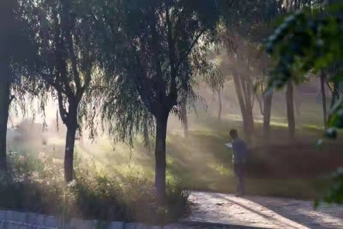 漫步濱職獨醉晨的美