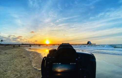 全年均溫23&deg;！來(lái)鼎龍灣感受&ldquo;行走的四季&rdquo;