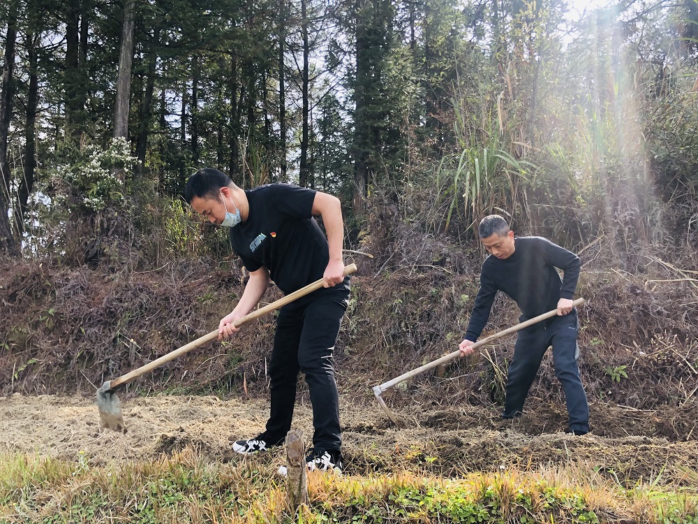 周寧煙草：打響春耕生產&ldquo;第一仗&rdquo;，讓拋荒撂荒耕地&ldquo;重獲新生&rdquo;