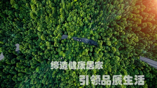 從探索到標桿澳思歐恩為板材走過的創新路