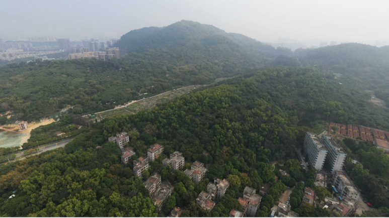 喜報丨深耕南沙，再添新秀