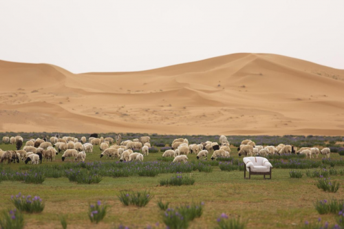 DOJUS度假式深活|為綠洲極為罕見的旱海，綻放了生機