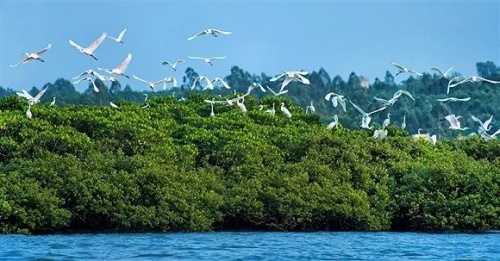 從一張好板到一張好地板，千年舟生態(tài)造板技術(shù)，管用23年