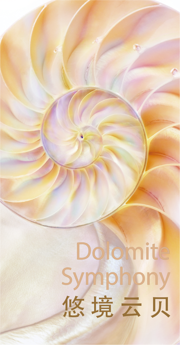 Artily藝術涂料 | 悠境云貝，讓家居空間更具想象力