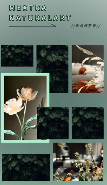 MEXTRA X CIFF探洄自然感官的向上表達(dá)，憩賞未來(lái)人居的自然基因