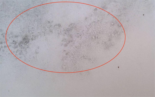 美巢易呱平膩子粉，耐水防潮更高環保，拒絕墻面潮濕發霉