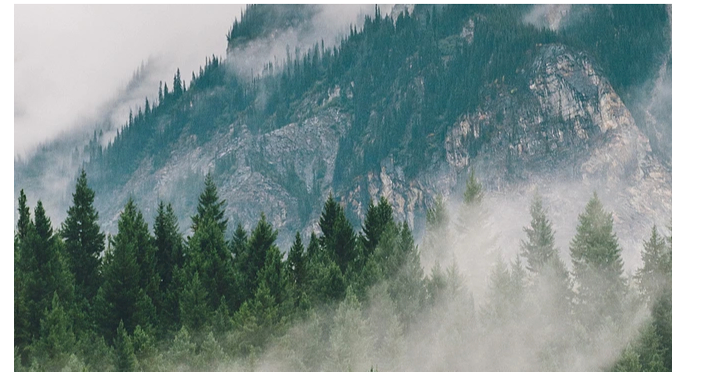 科技賦能丨綠色供應(yīng)+精工智造，澳思柏恩打造行業(yè)智慧工廠(chǎng)標(biāo)桿！