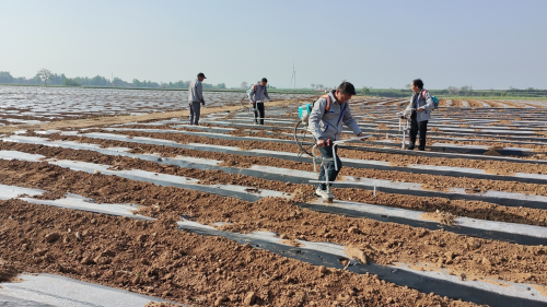 河南澠池：&ldquo;小&rdquo;農(nóng)機(jī)顯&ldquo;大&rdquo;身手