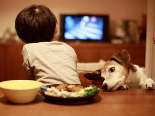 避坑帖：把驢騙進(jìn)來(lái)再殺，細(xì)說(shuō)激光電視那些致命缺點(diǎn)