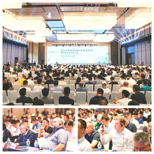2023全球木材與木制品大會|千年舟榮獲科技雙殊榮，引領行業綠色低碳轉型
