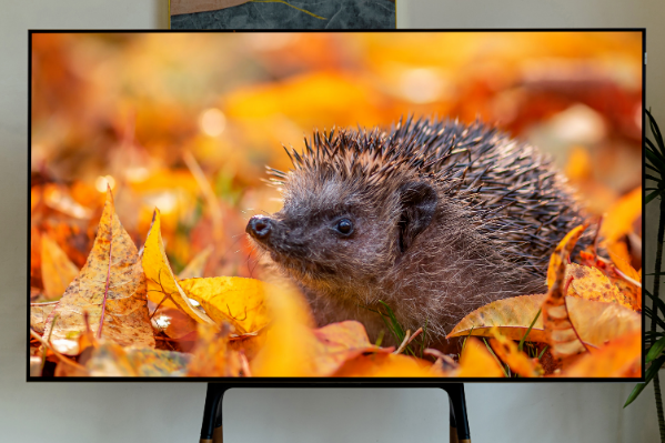 TCL C11G Pro換代首選？Mini LED真香神機，你值得擁有