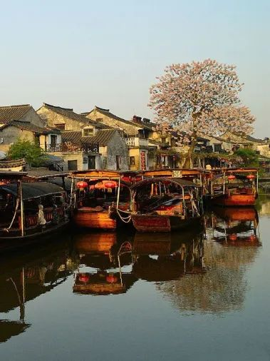 浪卷云收&middot;千舟競渡丨千年舟IP新花色全面上市！