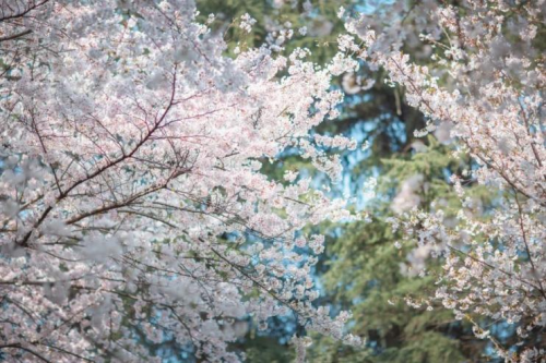 美涂士：墻面發(fā)霉怎么辦？真凈味幫你一招搞定！