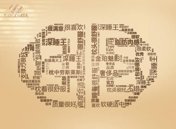 高階深睡枕的代表DOLOMIA，貫穿精密技藝與手工創(chuàng)意，成為高收入群體心儀之選