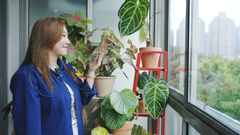 范湉湉的&ldquo;花花世界&rdquo;，藝術巖板「繁花」與冠珠韶華「南山蘆花」搭配亮了