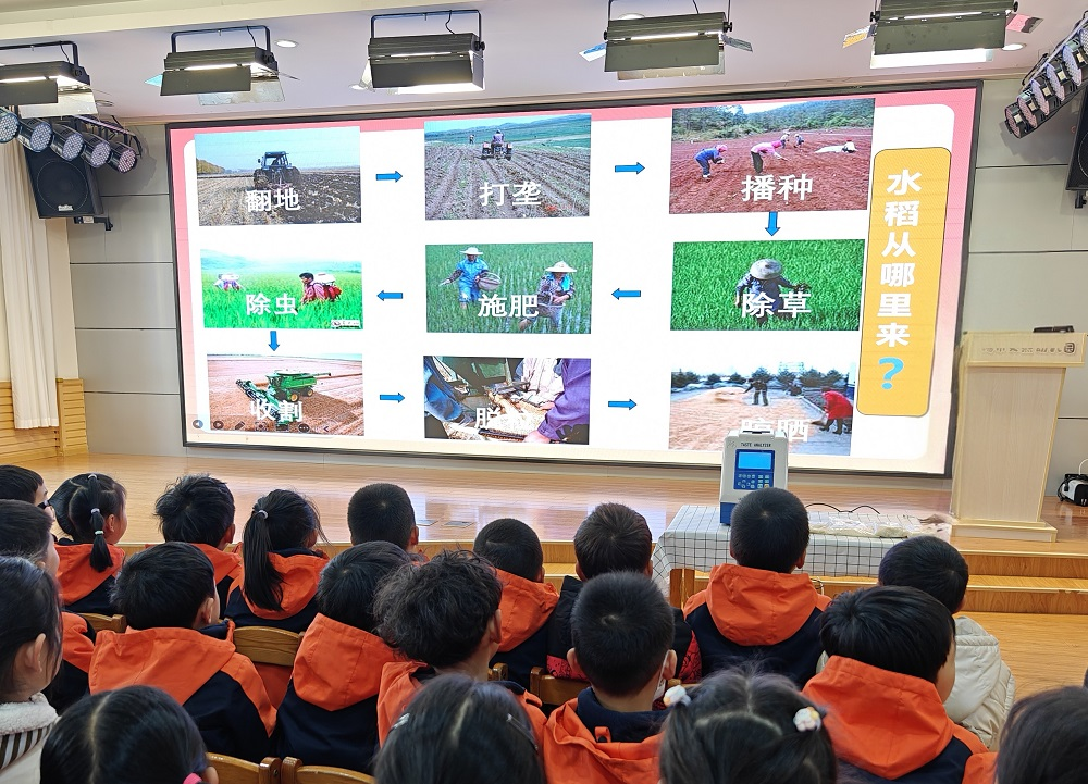 無錫市文熙幼兒園組織&ldquo;小小營養(yǎng)師&rdquo;科普活動，帶領(lǐng)孩子們探秘大米世界