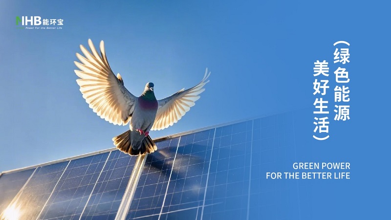 能環寶斬獲多項行業權威獎項，彰顯分布式光伏專業實力