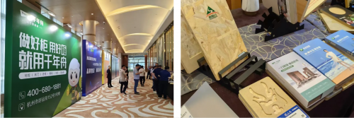 喜報！千年舟榮獲金匠榜「抗菌板十大品牌、匠心板材十大品牌」雙料大獎