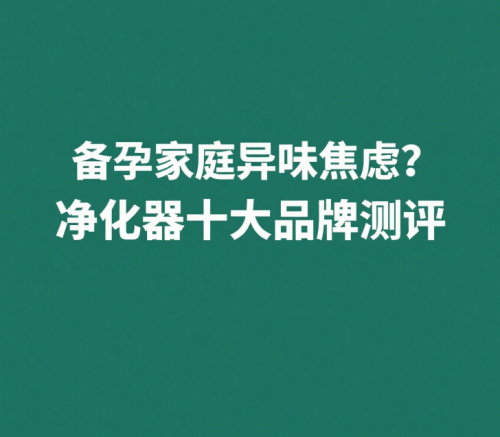 備孕家庭異味焦慮？除甲醛除煙味凈化器十大品牌測評(píng)