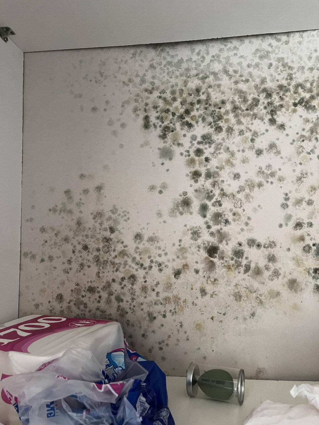 兒童級健康膩子創導者，卓瑪解鎖「健康家居」新定義